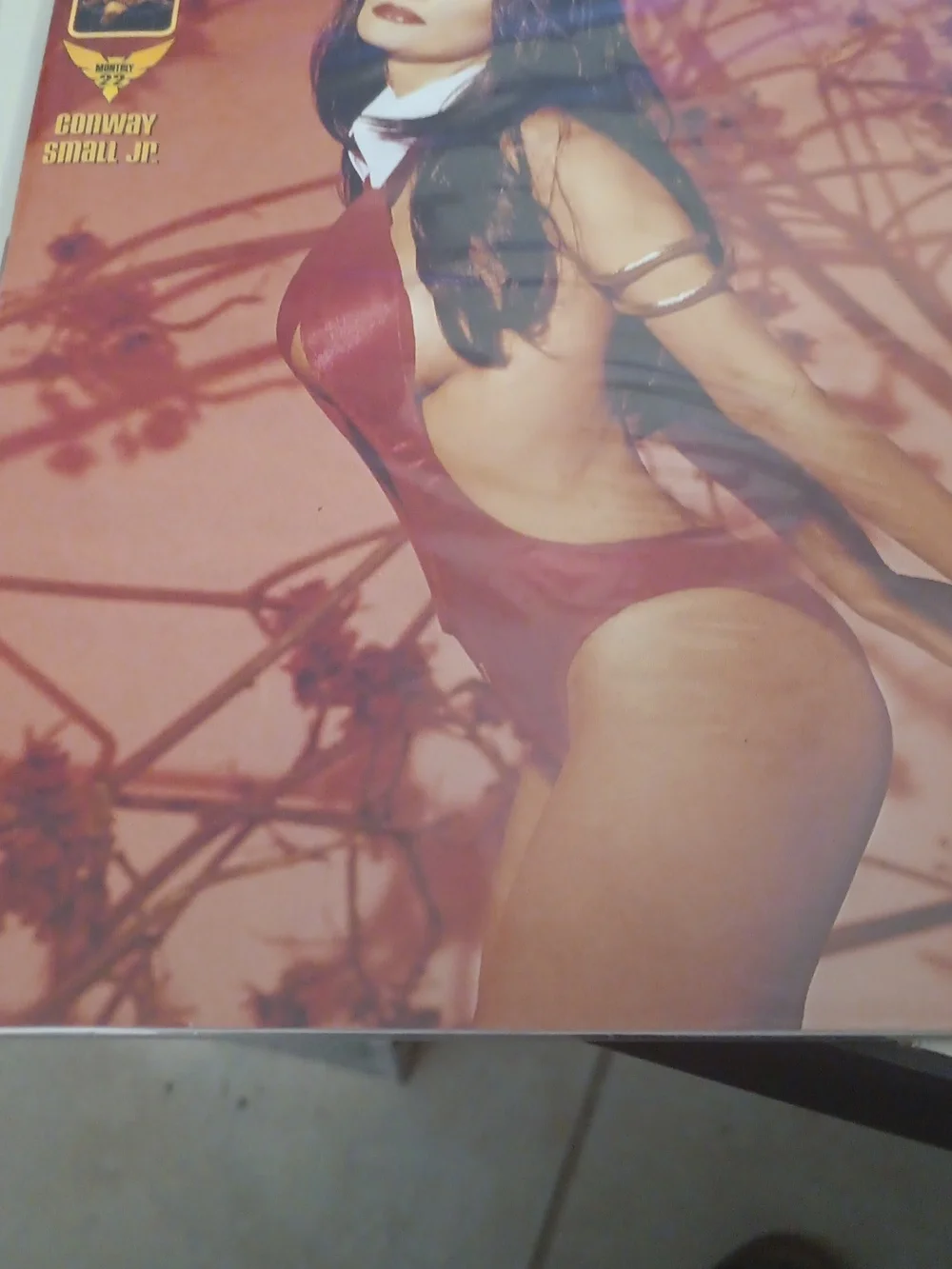 Vampirella 2 Pc Comic— Inspired Style - Picture 3 of 3